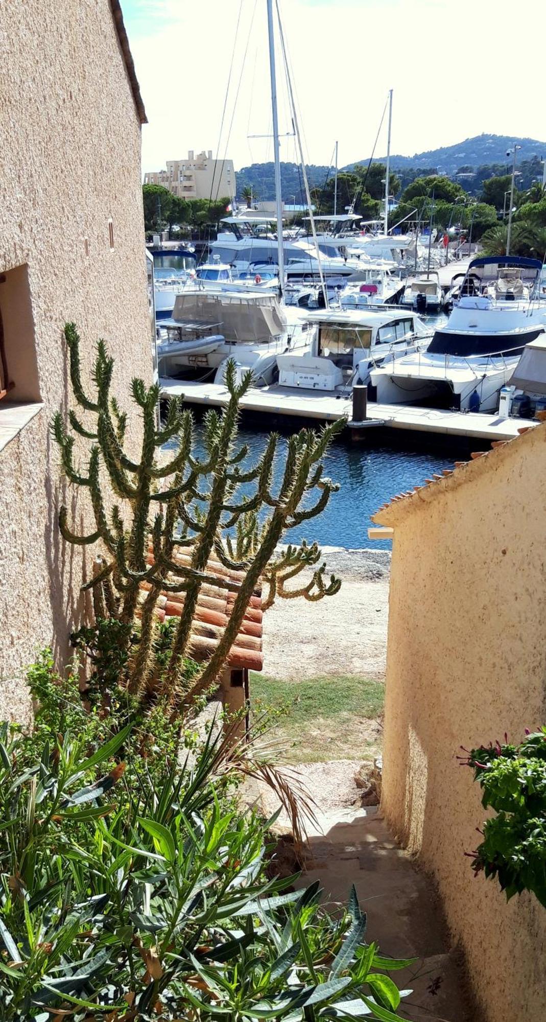T2 Terrasse, Bormes Les Mimosas La Faviere, 5 Pers, 5 Mn A Pieds Des Plages Et Commerces Dış mekan fotoğraf