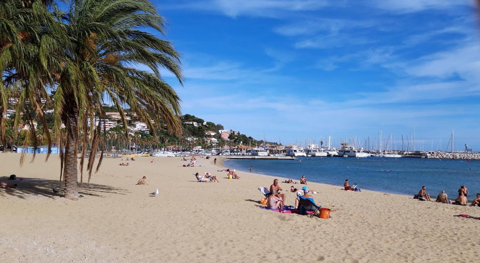 T2 Terrasse, Bormes Les Mimosas La Faviere, 5 Pers, 5 Mn A Pieds Des Plages Et Commerces Dış mekan fotoğraf